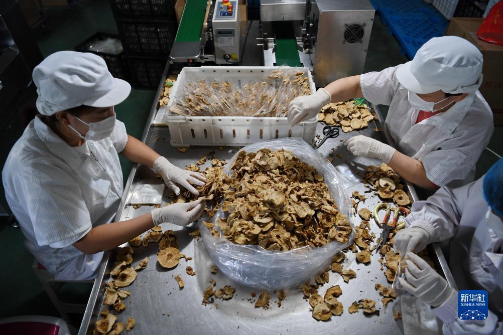水果机九莲宝灯大满贯下载